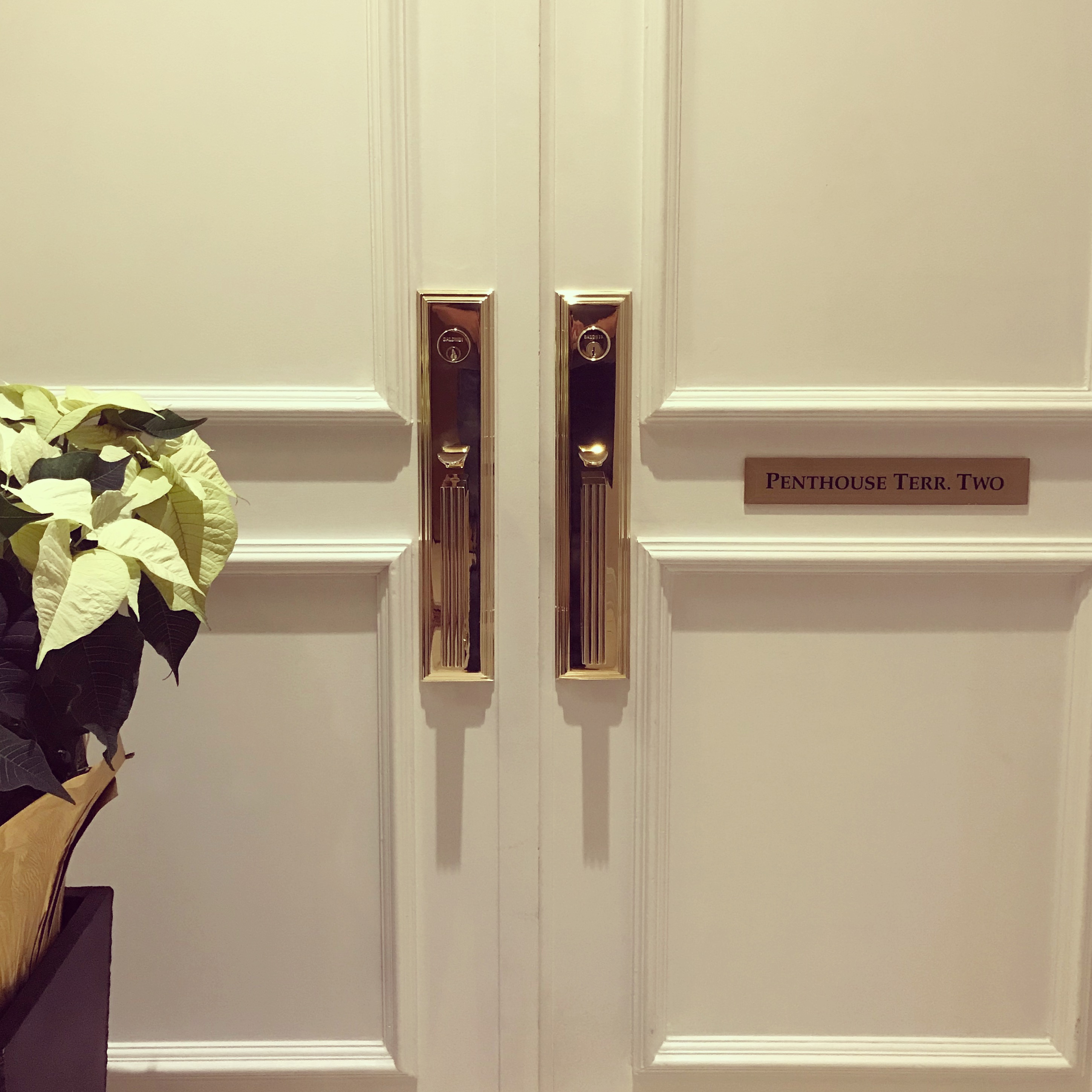 Gold Schlage handlesets on white double door